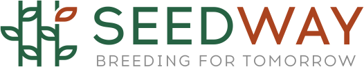 Логотип Seed Way